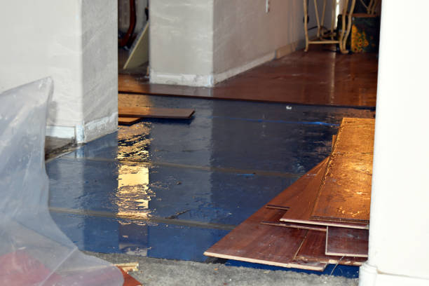 Professional Burst Pipe Cleanup technician working in Street, MD